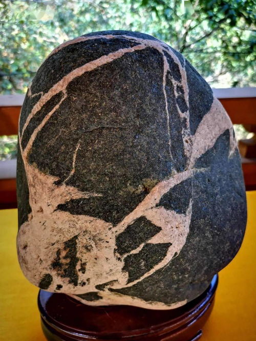 阜平縣第二屆雪浪石文化展 石韻天成，文蘊流傳